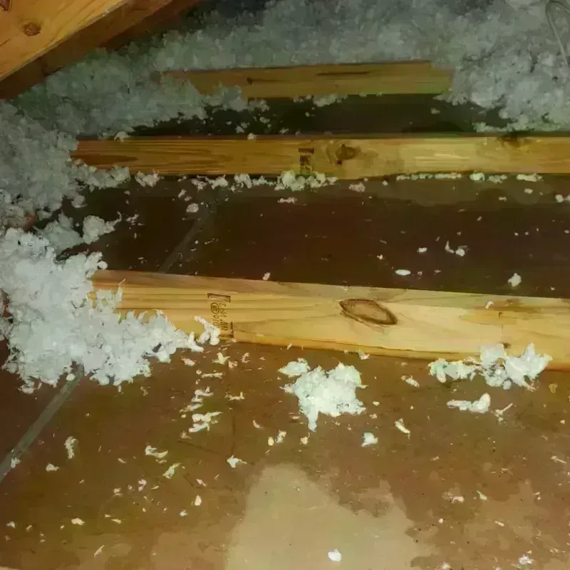 Attic Water Damage in Clinton, WI