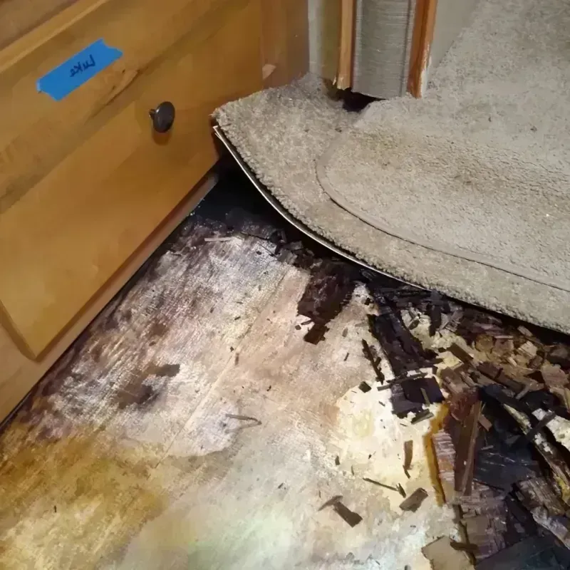 Wood Floor Water Damage in Clinton, WI